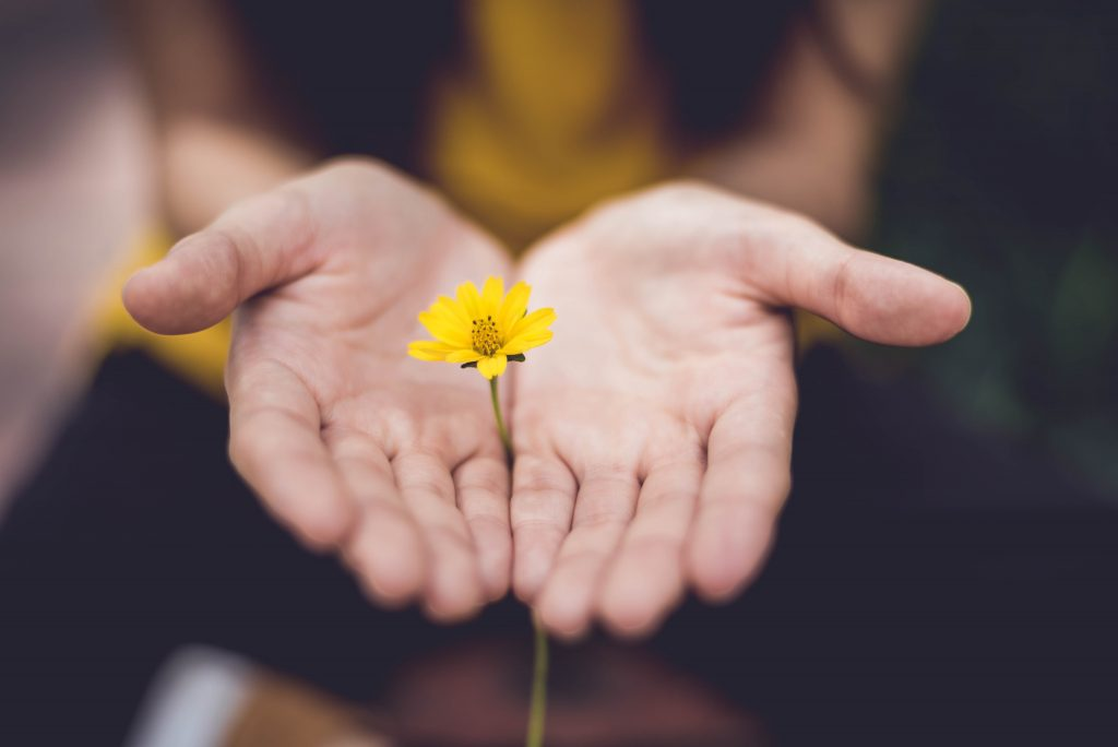 a woman holds a yellow flower in her outstretched hands