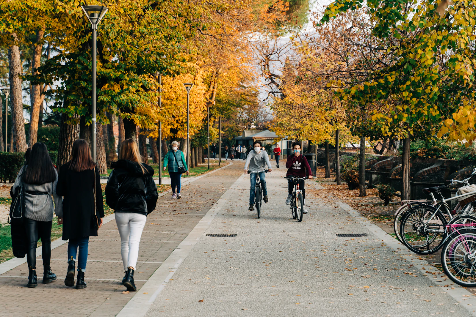 An image of several masked people walking and biking down a path in a park, with trees on either side.