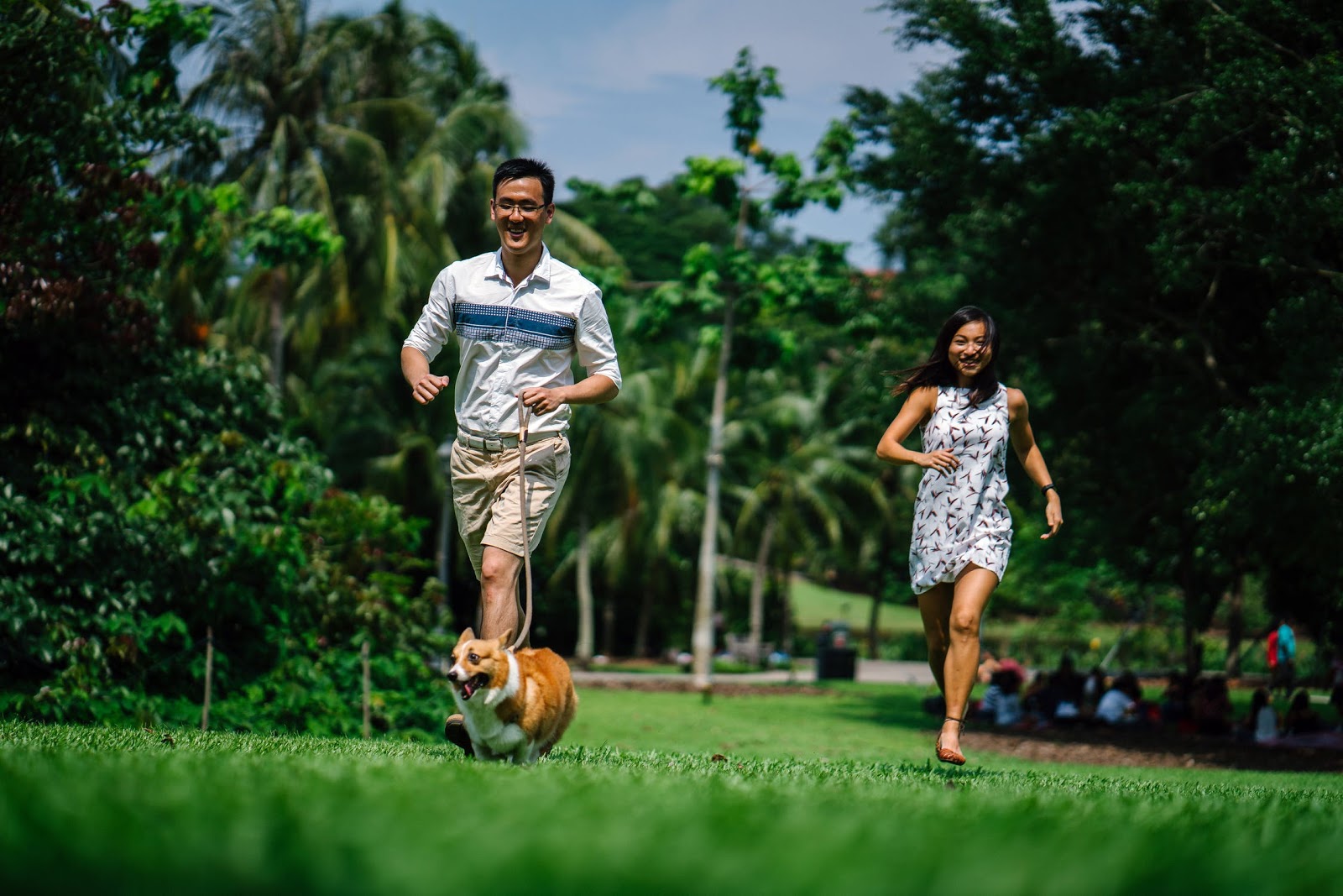 A man and woman running outdoors with their dog.