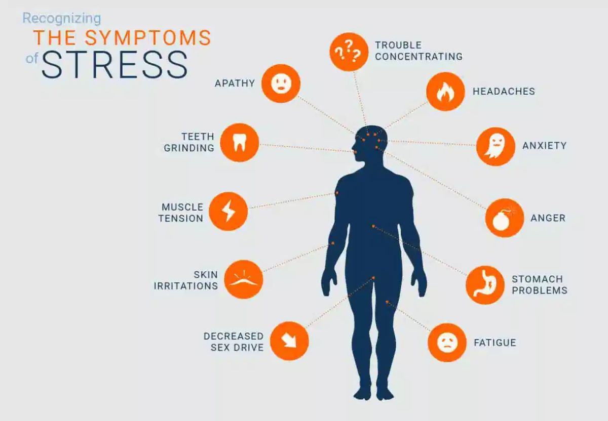 A graphic talking of the many symptoms of stress